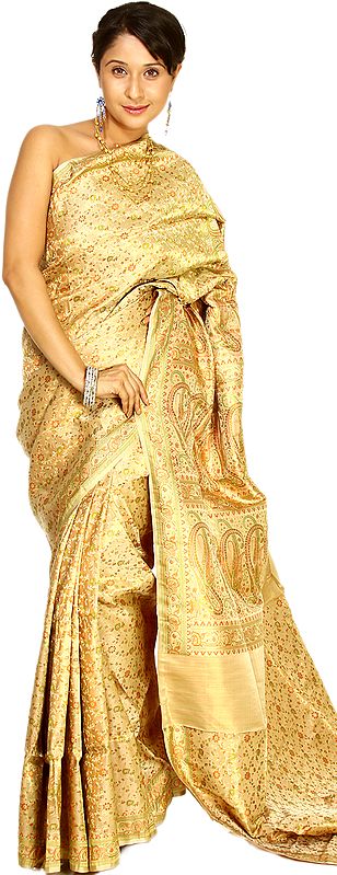 Beige Banarasi Sari with Hand-Woven Paisleys and Flowers All-Over