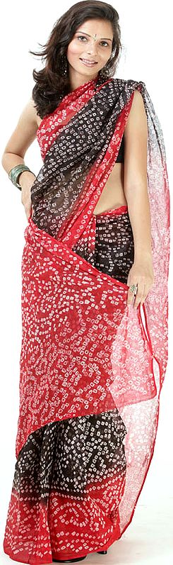 Black and Red Shaded Bandhani Sari from Jaipur