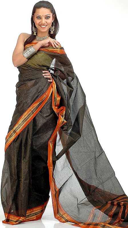 Black Narayanpet Sari with Golden Thread Weave and Rudraksha Border