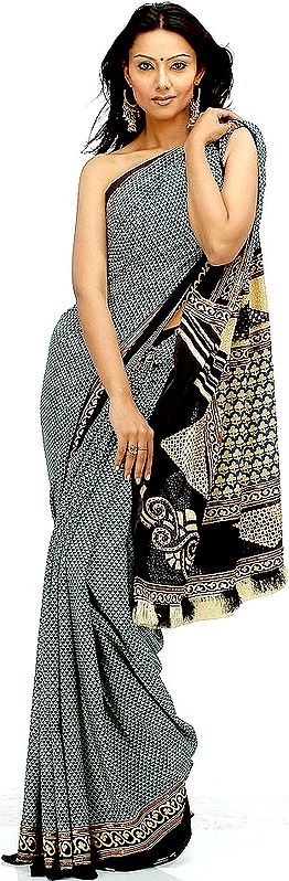 Block Printed Sari with Threadwork