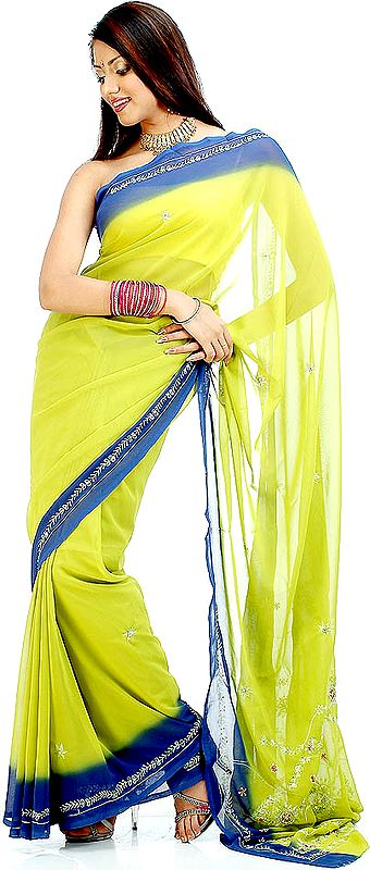 Blue and Pear-Green Sari with Embroidery