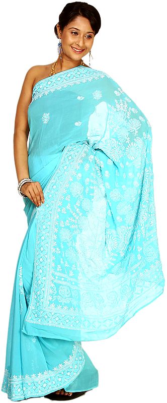 Blue Atoll Chikan Sari From Lucknow with Hand Embroidered Flowers All-Over