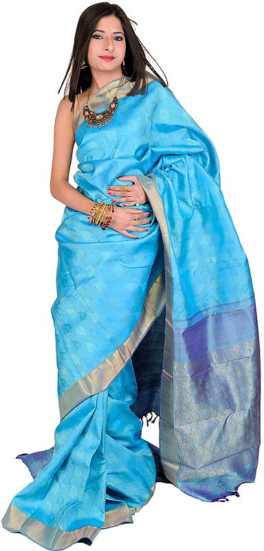 Blue Kanjivarm Sari with Royal Blue border and Hand-woven Leaves