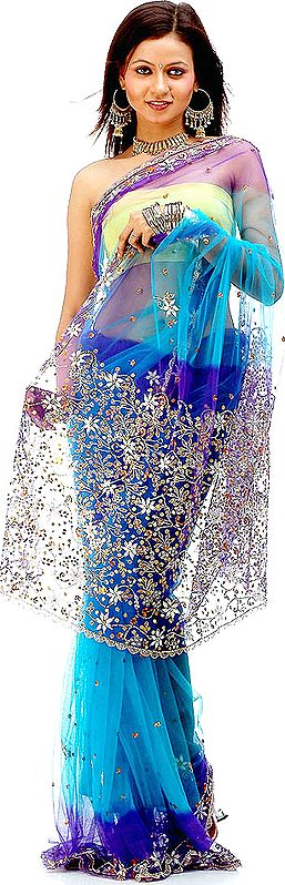 Blue Shaded See-Through Sari with Beads and Threadwork