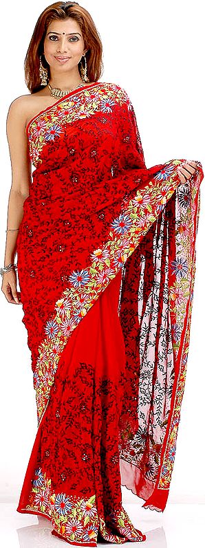 Bridal Red Sari with Persian Embroidery