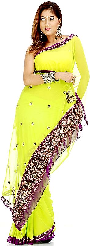 Bright Green Sari with Sequins and Threadwork