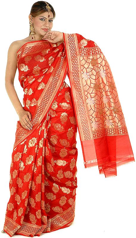 Bridal Red Jamdani Sari with All-Over Hand-Woven Flowers in Golden Thread