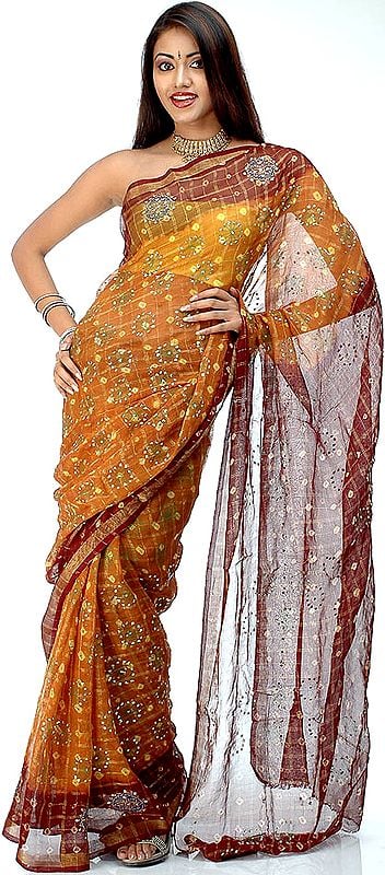 Brown and Amber Gharchola Sari from Gujarat with Block Print