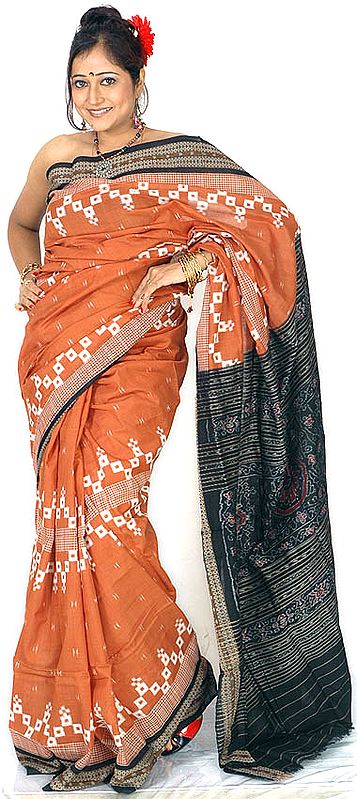Brown and Black Hand-Woven Sambhalpuri Sari from Orissa