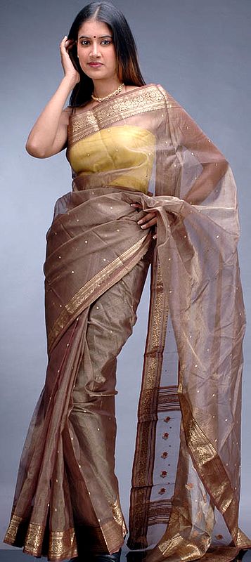 Brown and Golden Chanderi Sari with Bootis and Pin Stripes