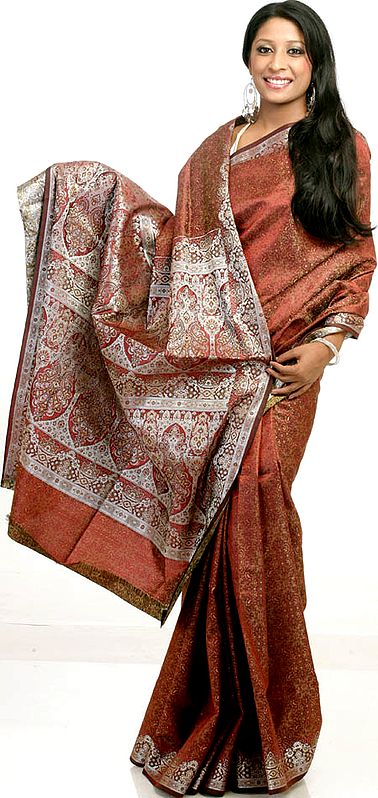 Brown Banarasi Jamawar Sari with Silver Tanchoi Weave
