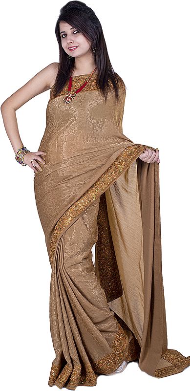 Brown Elegant Sari with Self-Weave and Needle Embroidered Border