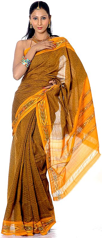 Brown Ikat Sari from Pochampally