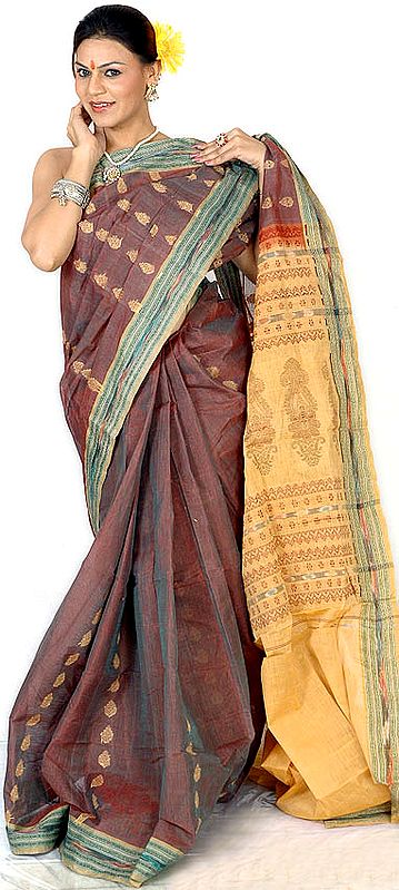 Brown Kanji Cotton Sari with Ikat Weave on Border
