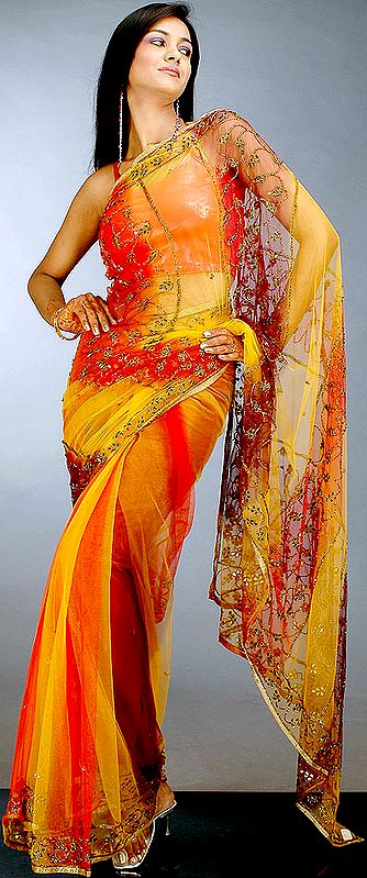 Brown Shaded See-Through Sari with Beads and Threadwork