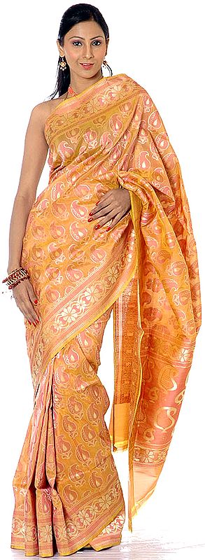 Buff Jamawar Sari from Banaras with Woven Paisleys All-Over
