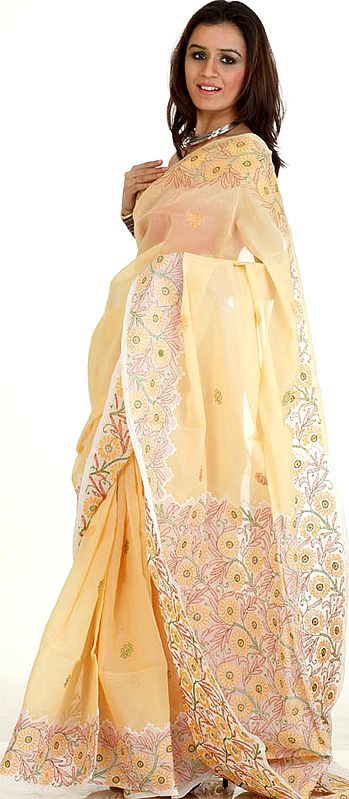 Buff Lukhnavi Chikan Sari with Multi-Color Embroidery