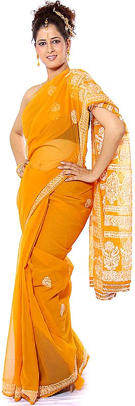 Burnt Orange Lukhnavi Chikan Embroidered Sari with Sequins