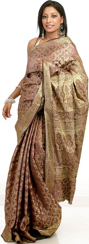 Chestnut Tanchoi Sari from Banaras with Flowers Woven in Golden Thread