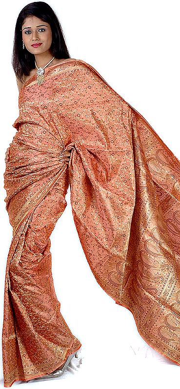 Coral Satin Tanchoi Sari with All-Over Brocade Weave