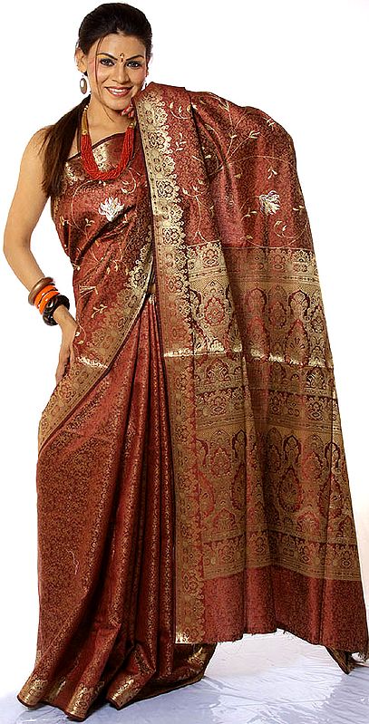 Cordovan Tanchoi Sari from Banaras with Golden Thread Weave and Embroidered Flowers