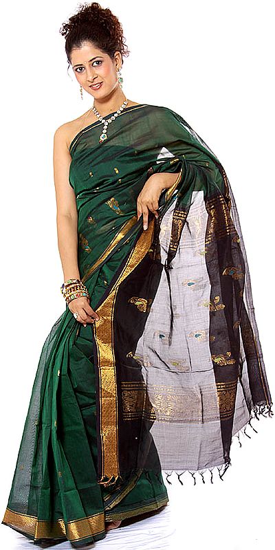 Dark Green Sari from Tamil Nadu with Woven Bootis in Golden Thread