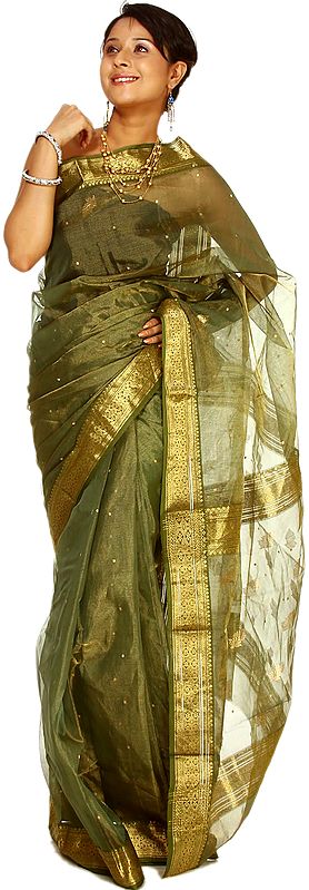 English Ivy-Green Tissue Chanderi Sari with Woven Bootis and Golden Border