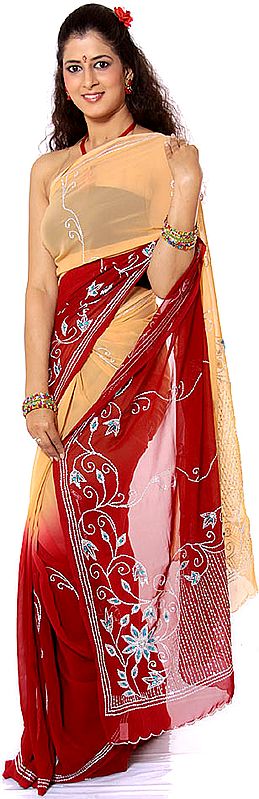 Fawn and Red Sari with Sequins and Beadwork