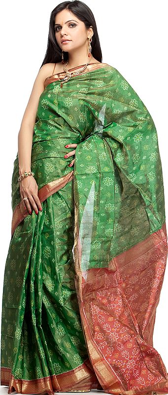 Green and Maroon Tissue Sari from Hyderabad