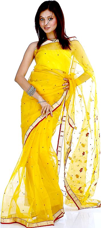 Golden Chanderi Sari with All-Over Bootis