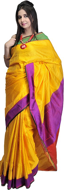 Golden-Yellow Handloom Sari from Banaras with All-Over Weave in Self and Plain Contrast Borders