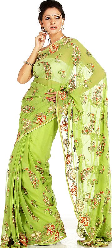Grass-Green Sari with Aari Embroidered Flowers and Paisleys
