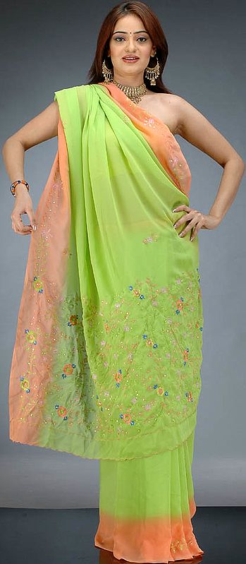 Green and Peach Sari with Embroidery
