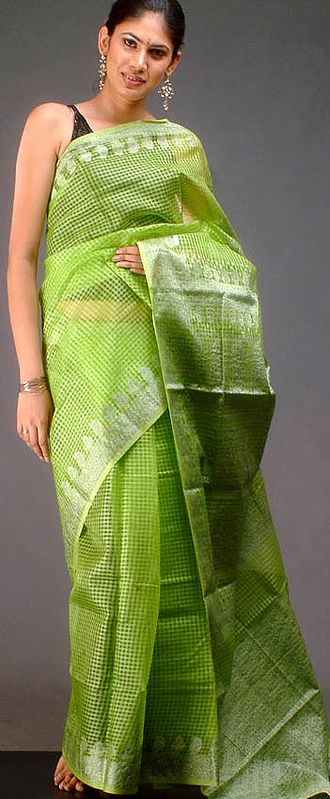 Green Banarasi Sari with Checks in Self