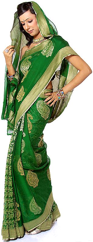 Green Banarasi Sari with Large Paisleys Woven All-Over