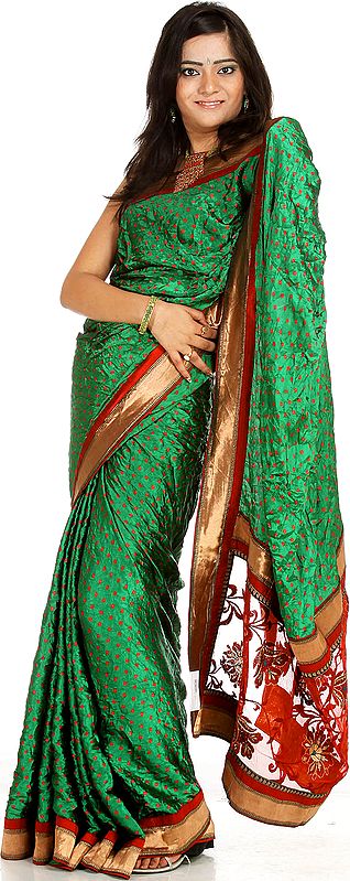 Green Bandhani-Print Sari with Net Anchal and Patch Border