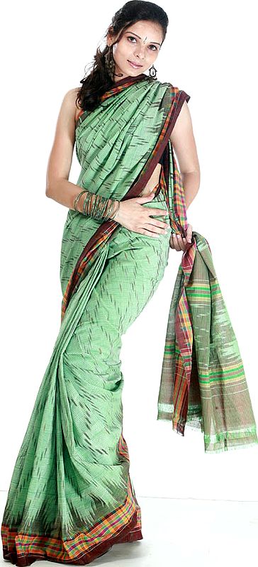 Green Ikat Sari from Pochampally with Multi-Color Border