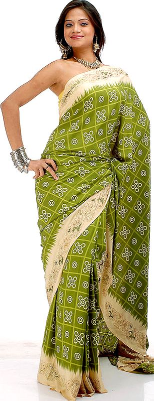 Green Printed Sari with Threadwork