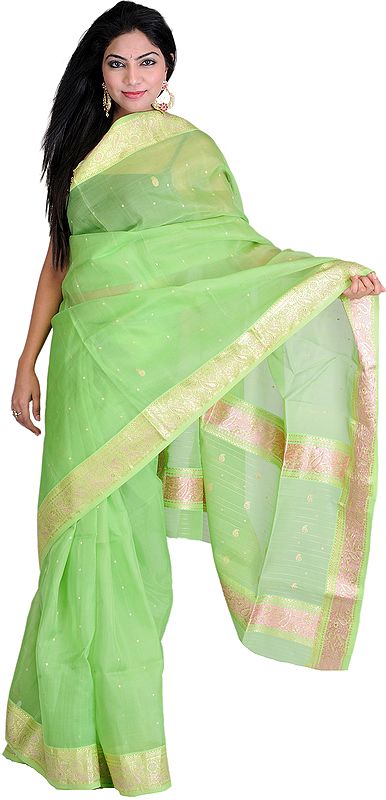 Green-Flash Chanderi Sari with Golden Thread Weave and Brocaded Border