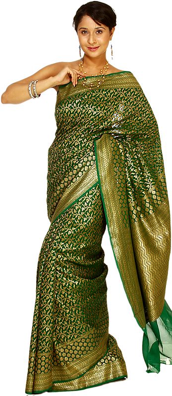 Islamic-Green Handwoven Sari from Banaras with Woven Leaves and Brocaded Aanchal