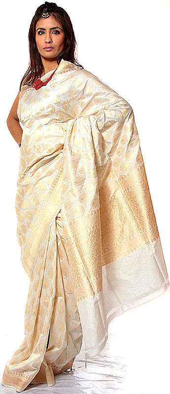 Ivory Wedding Sari from Banaras with All-Over Leaves Woven by Hand