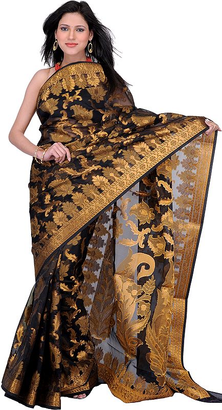 Jet Black banarasi Sari with Giant Woven Flowers in Golden Thread