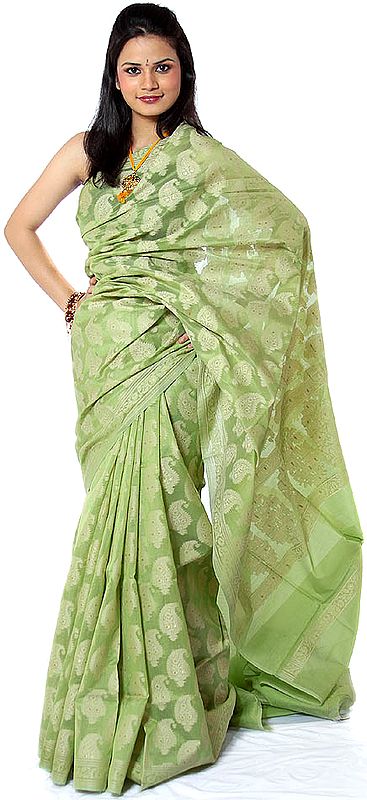 Light-Green Banarasi Sari with All-Over Woven Paisleys