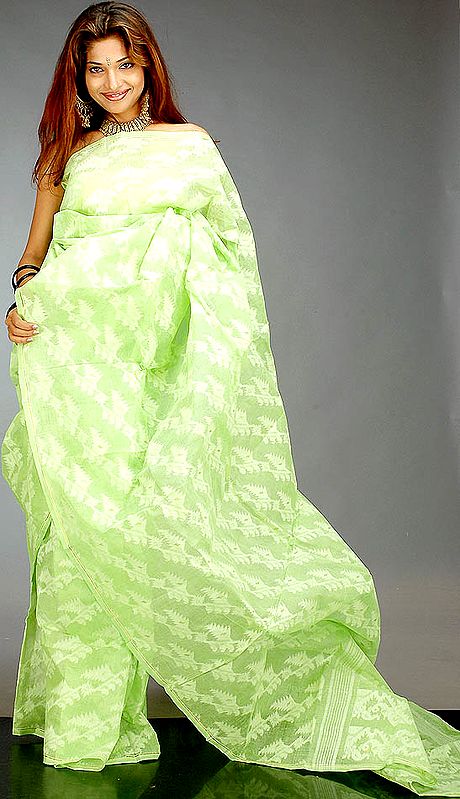 Light-Green Tengail Sari with All-Over Thread Weave
