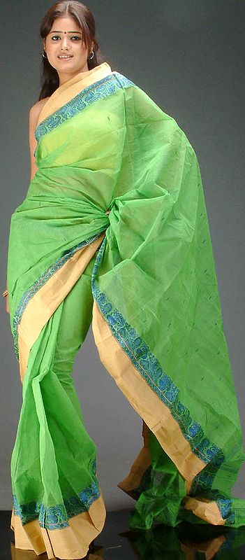 Lime and Champagne Sari with Thread Work on Border