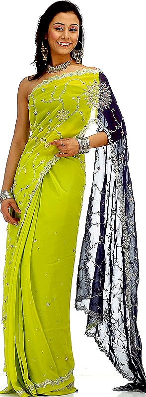 Lime Green and Blue Butterfly Sari with Sequins and Threadwork