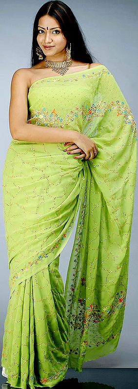 Lime Green Sari with Persian Embroidery