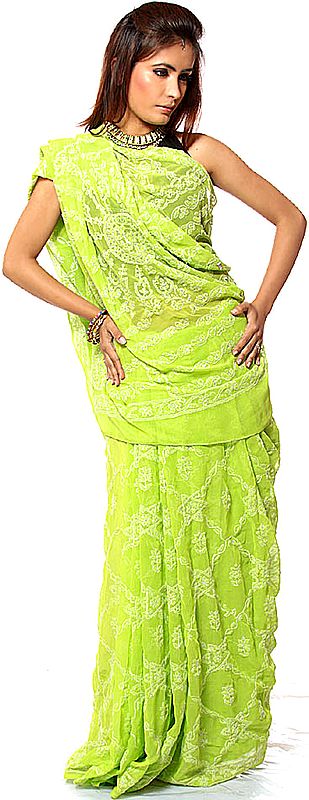 Lime-Green Chikan Embroidered Sari from Lucknow with Sequins