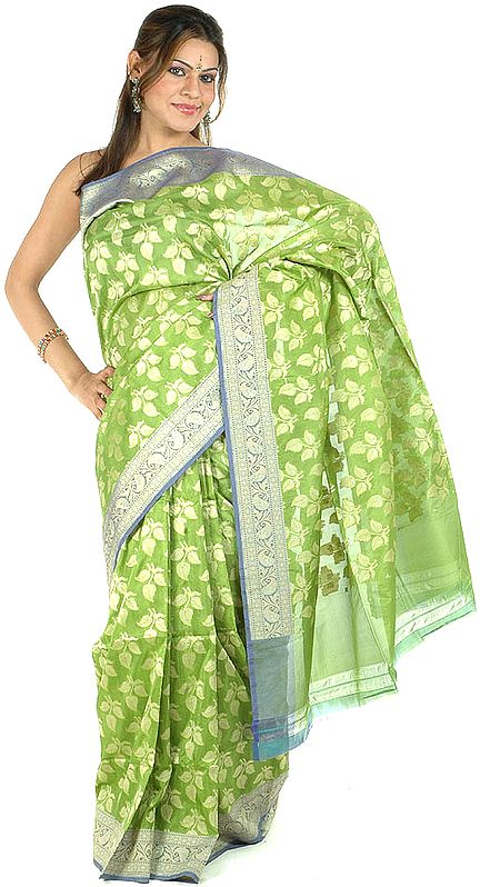 Lime-Green Jamdani Sari with All-Over Hand-Woven Leaves in Golden Thread