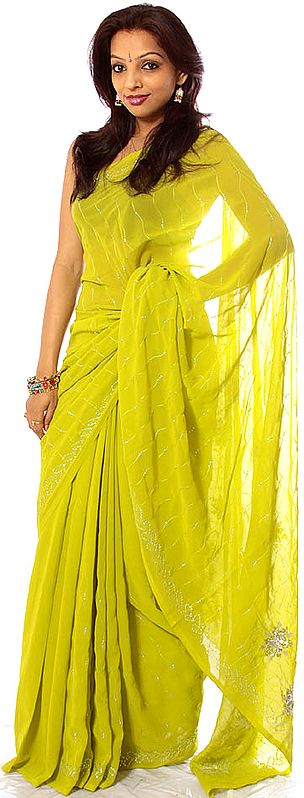 Lime-Green Sari with All-Over Embroidery and Beadwork